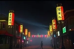 《回声谷》山区救援队夜行搜救封面